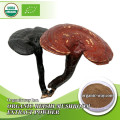 Mushroom Supplement EU organic certified  reishi mushroom dual extract